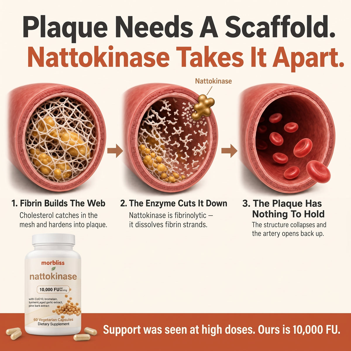 Ultra-Strength Nattokinase 10,000 FU — Circulation Support